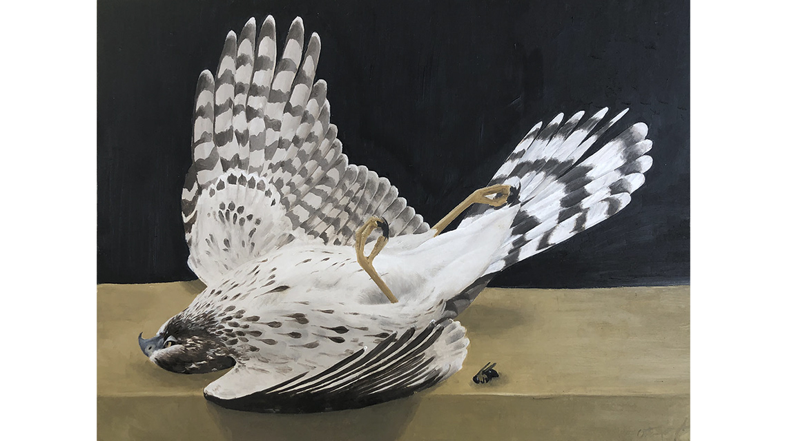 Painting of Hawk Still life